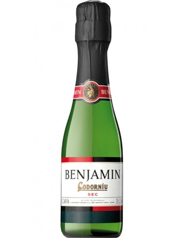 CAVA CODORNIU BENJAMIN 20 CL