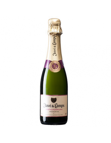 CAVA JUVE CAMPS BRUT 37,5 CL